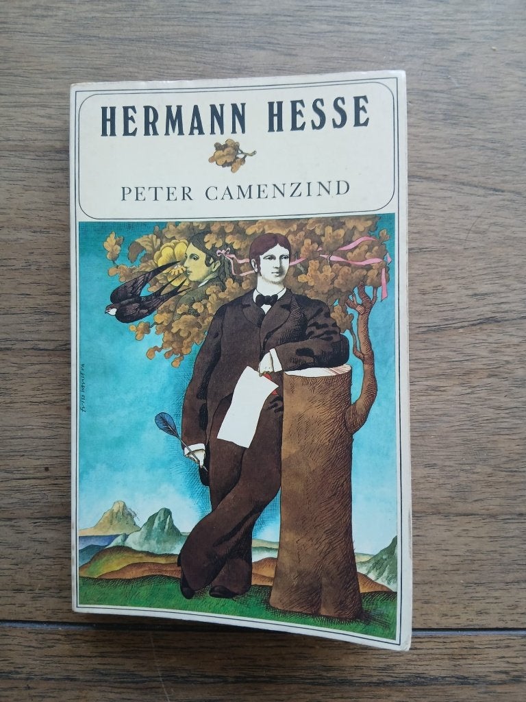 Peter Camenzind door Herman Hesse, Ophalen of Verzenden, Zo goed als nieuw