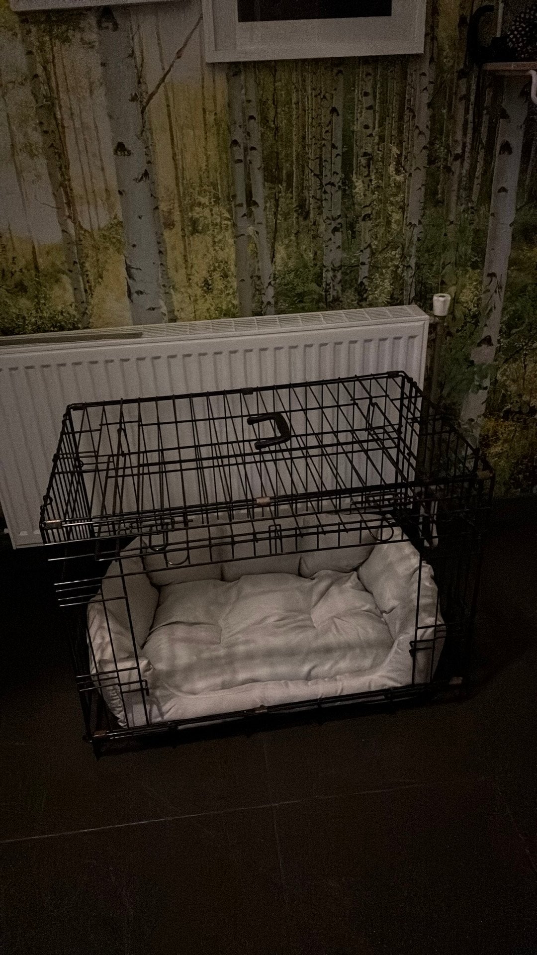 Honden bench, Ophalen, Zo goed als nieuw, 75 tot 110 cm, Minder dan 65 cm