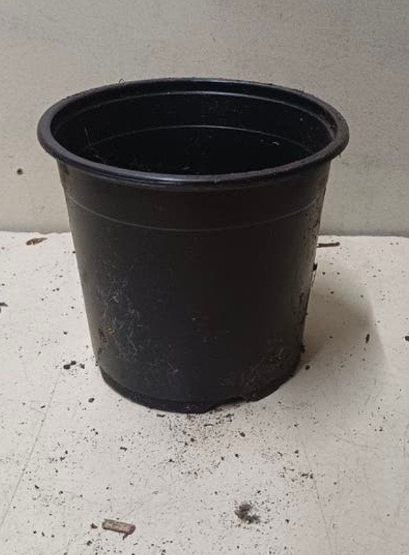 Kweekpotten plantenpotten bloempotten 14 cm, Kunststof, Gebruikt, Rond, Ophalen of Verzenden