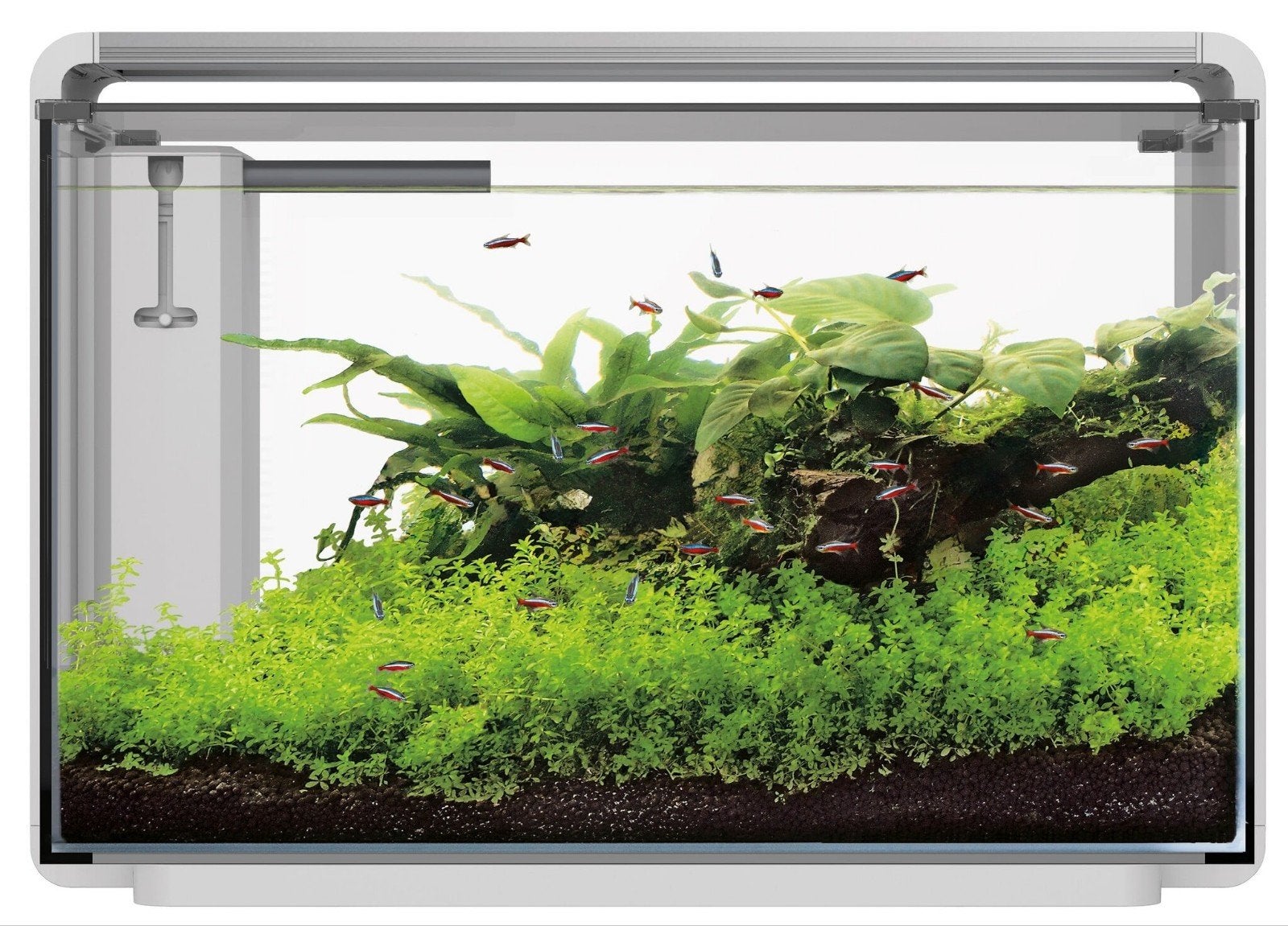 Superfish Home ProLED 65 Aquarium Wit - incl alle toebehoren, Ophalen, Gebruikt, Leeg aquarium, Superfish