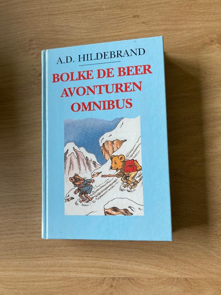 Boek A.D. Hildebrand, Boeken, Ophalen of Verzenden, Zo goed als nieuw, Fictie algemeen