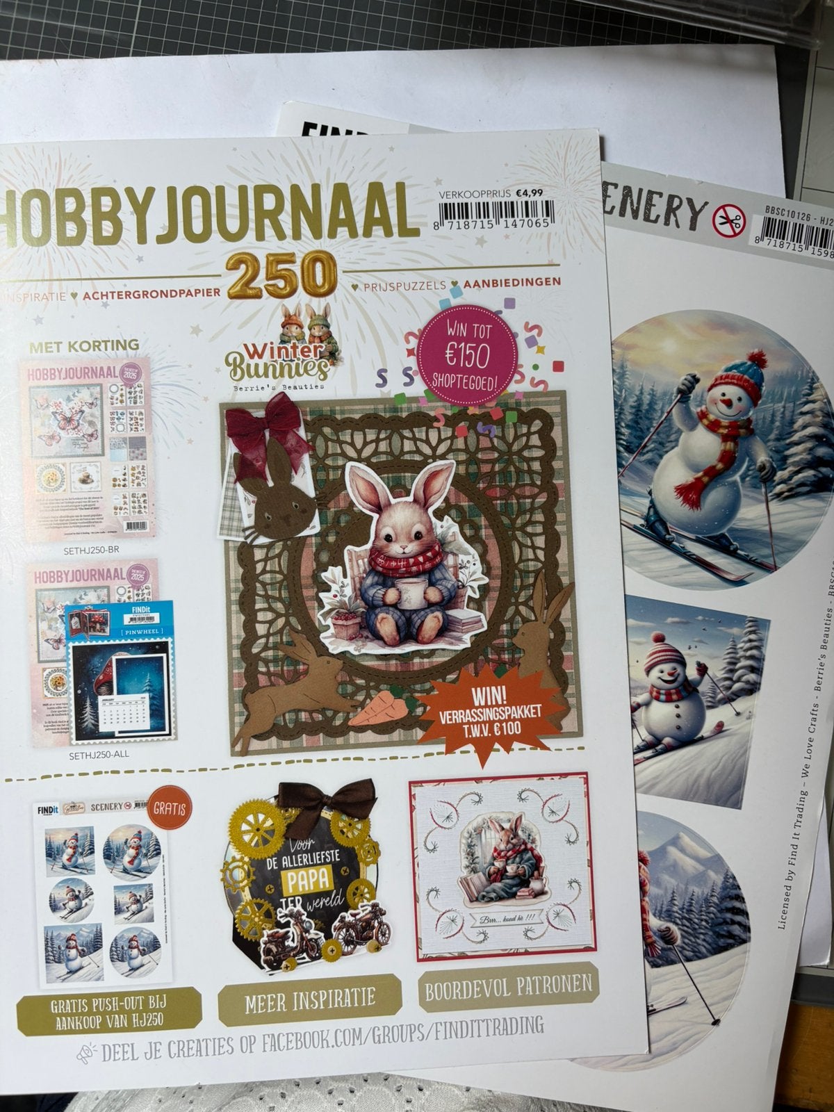 Hobbyjournaar 250 met uit druk vel nu 2,50, Ophalen of Verzenden, Zo goed als nieuw, Overige thema's