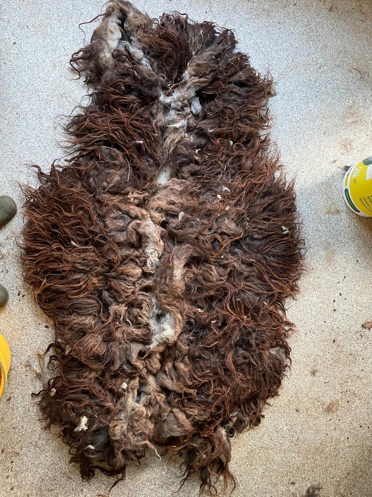 Langharige mooie wol voor toeven, toef met wolpluim maken, Ophalen of Verzenden, Nieuw