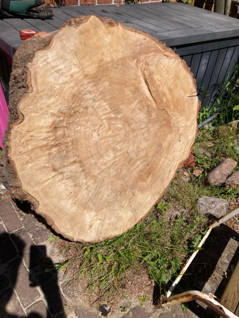 Boomstam schijf 90x90x13, Ophalen of Verzenden, Zo goed als nieuw, 50 mm of meer, Balk