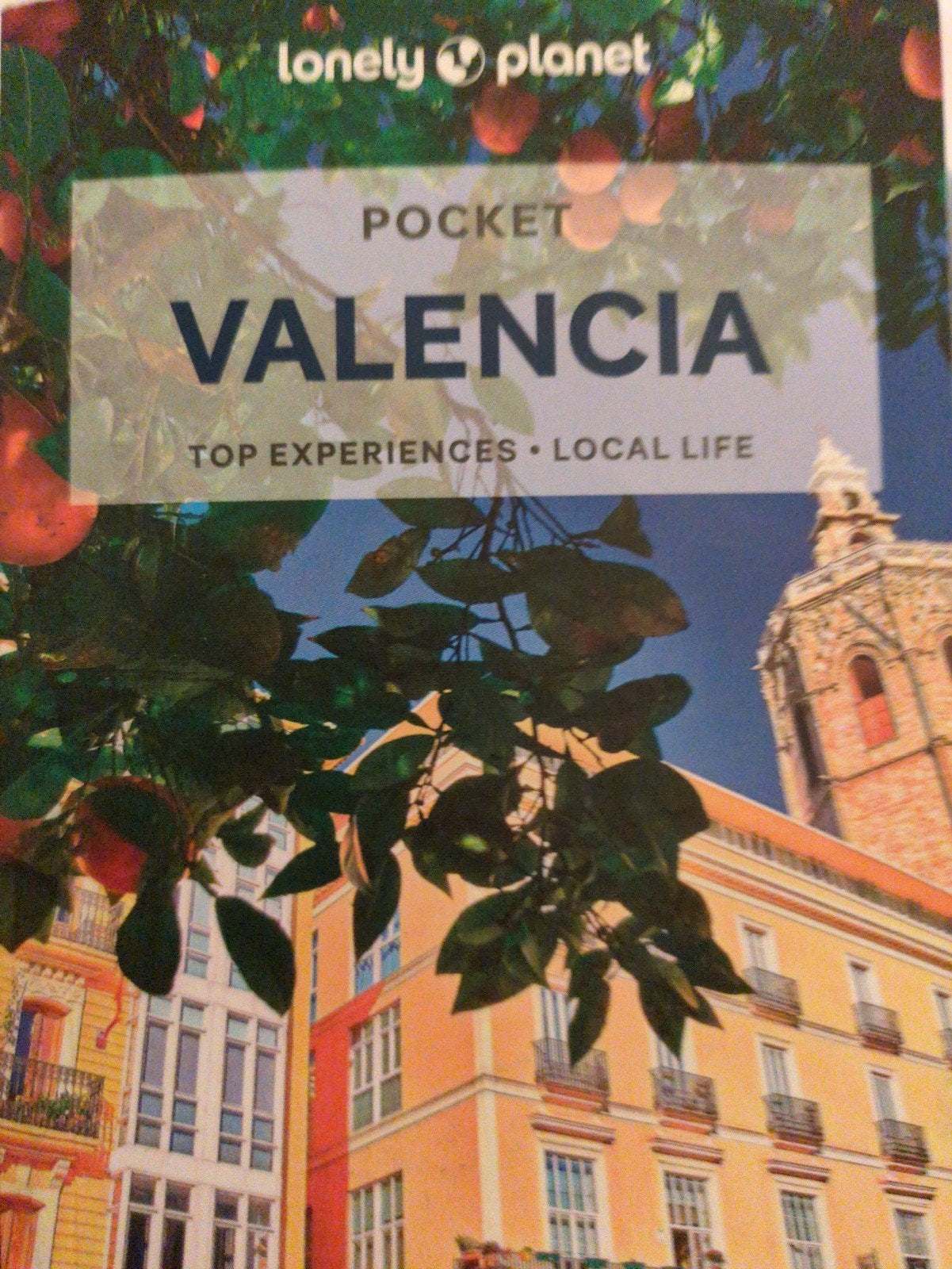 Lonely Planet Pocket Valencia reisgids, Boeken, Lonely Planet, Europa, Nieuw, Ophalen of Verzenden