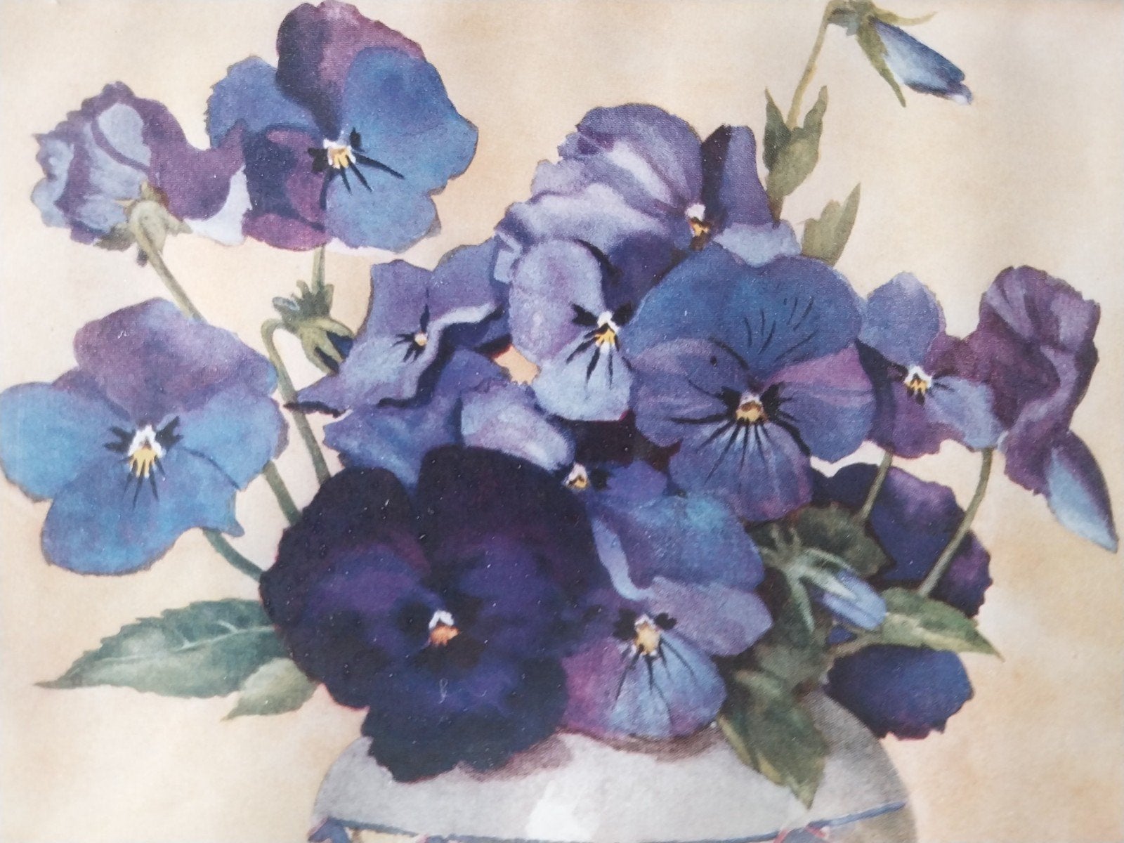Originele aquarel van viooltjes .., Antiek en Kunst, Ophalen of Verzenden