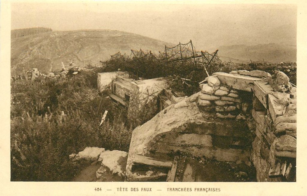 701-477-041 Tete des Faux, Ophalen of Verzenden, Voor 1920, Frankrijk