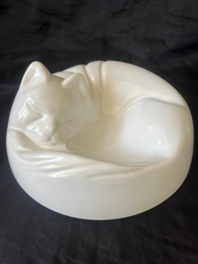 Slapende witte Kat, Ophalen