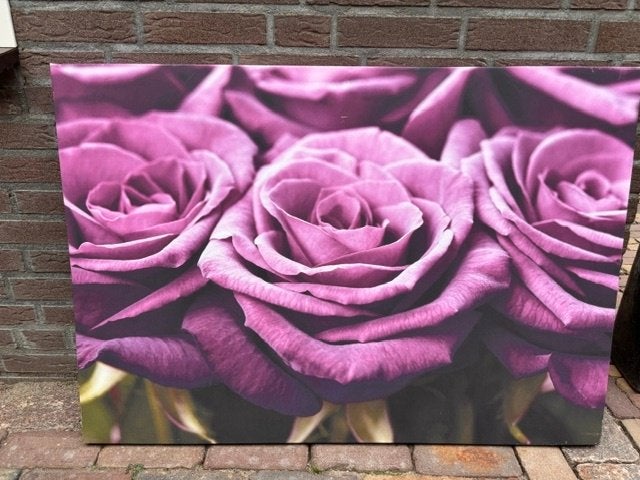 canvas, Ophalen, Gebruikt, 50 tot 75 cm, Schilderij
