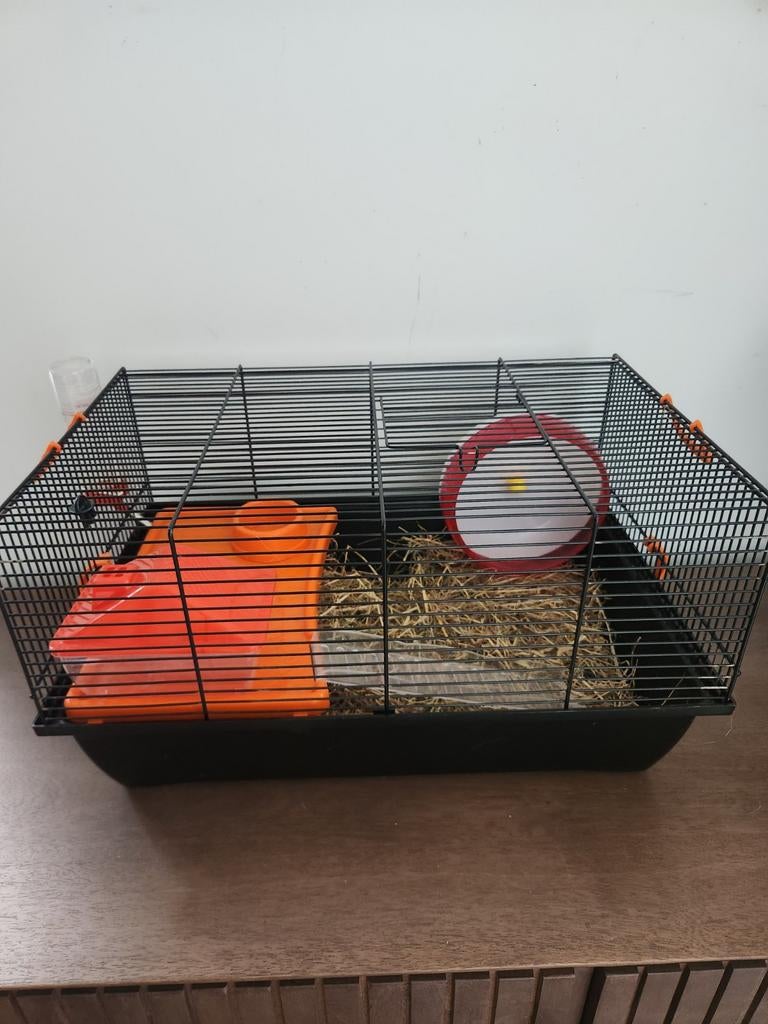 Hamster kooi, Dieren en Toebehoren, Kooi, Minder dan 75 cm, Zo goed als nieuw, Hamster