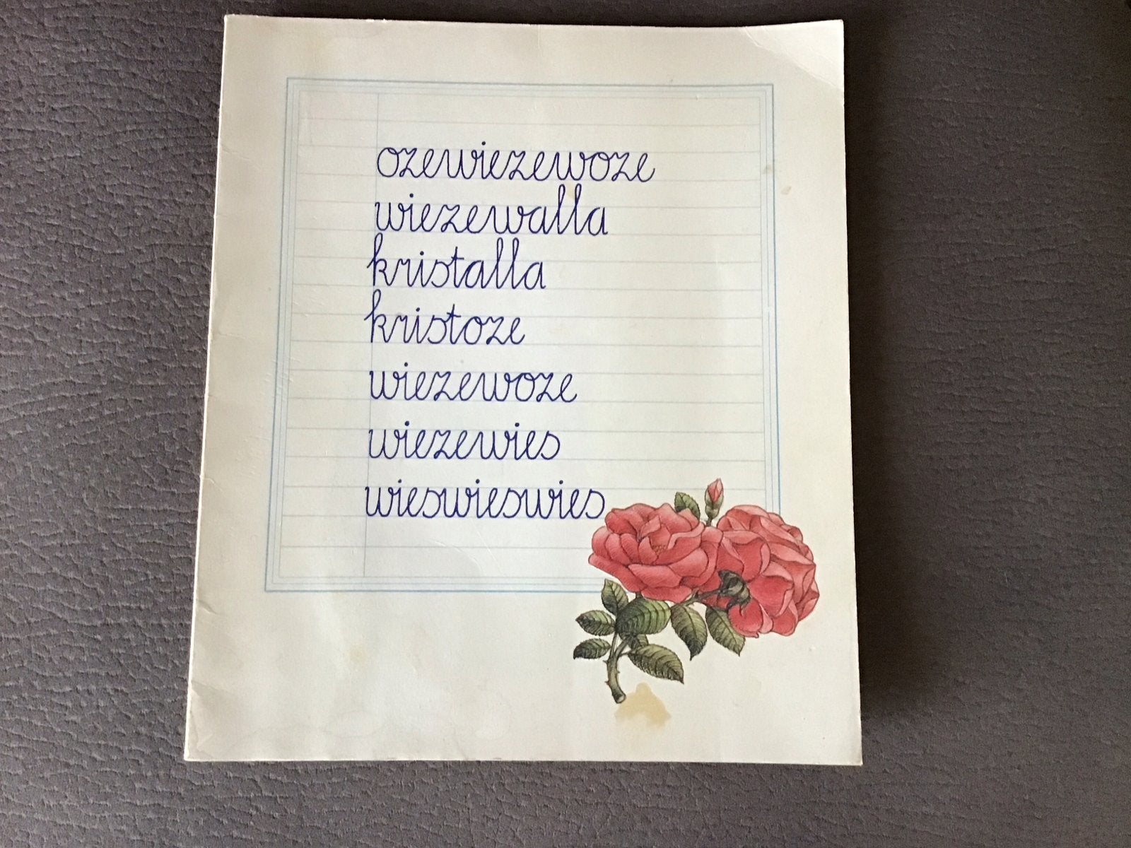 Oud kinderboekje met handgeschreven tekst en tekeningen, Ophalen of Verzenden, Gelezen