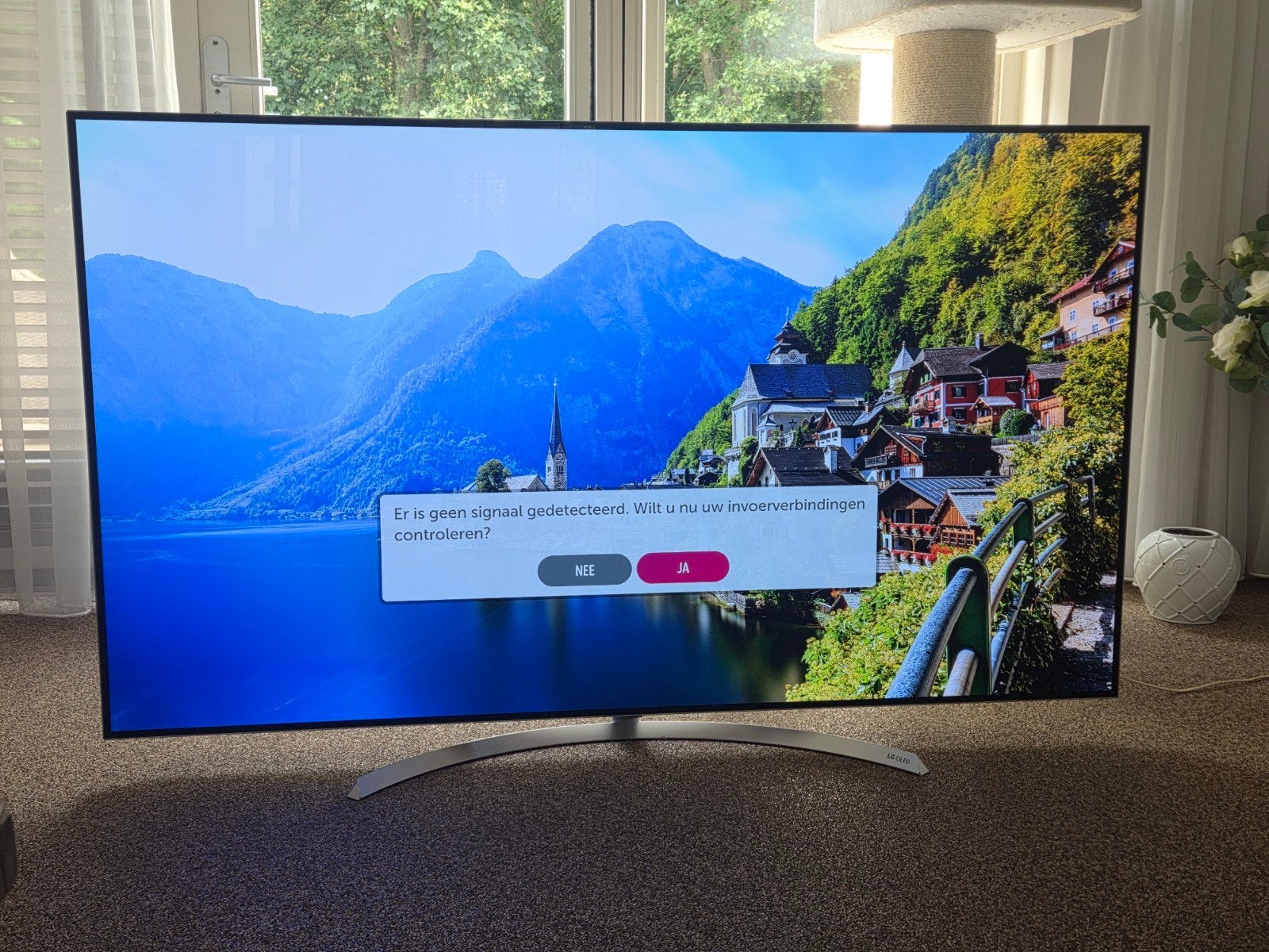 LG Oled tv 65 inch te koop!, Gebruikt, Ophalen of Verzenden, 100 cm of meer, 4k (UHD)