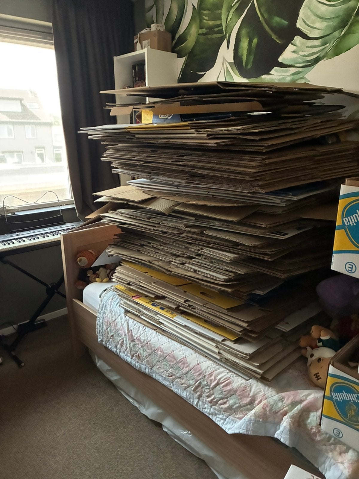 Meer dan 75 verhuisdozen en bananendozen, Ophalen, Opvouwbaar, 50 tot 75 cm, Minder dan 40 cm