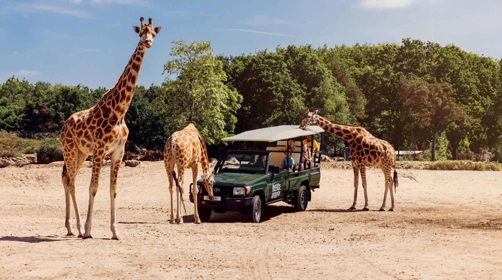 ️ Te koop: 4 tickets Safaripark Beekse Bergen ️ 22 juni, Tickets en Kaartjes, Drie personen of meer, Ticket of Toegangskaart