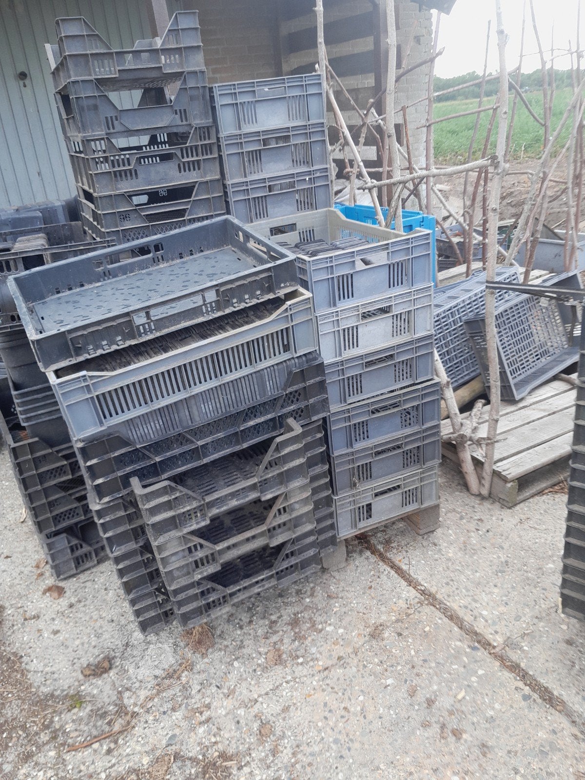 Partij gebruikte plastic kratten, Ophalen of Verzenden, Gebruikt