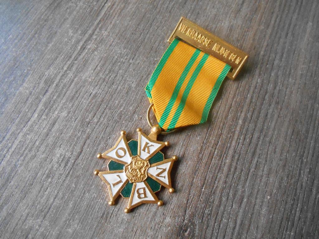 Medaille Vierdaagse Nijmegen voor 10 keer lopen, Ophalen of Verzenden, Landmacht, Nederland, Lintje, Medaille of Wings