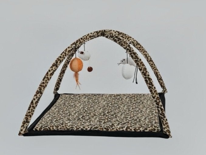 Te Koop, Dieren en Toebehoren, Ophalen of Verzenden