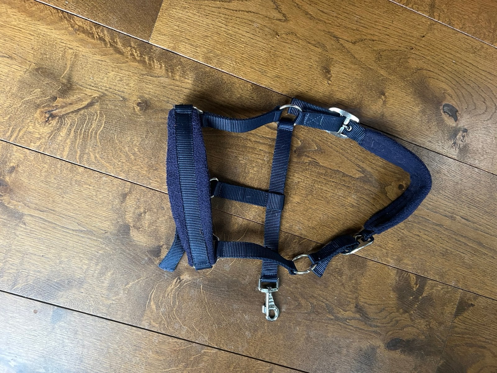 Halster pony blauw, Ophalen of Verzenden, Zo goed als nieuw