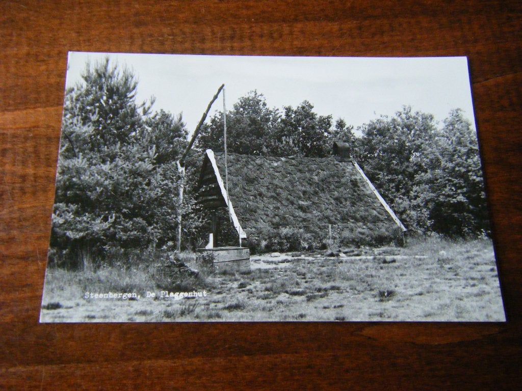 V43 - Steenbergen - De Plaggenhut - Mooi/Oud, Ophalen of Verzenden, Noord-Brabant