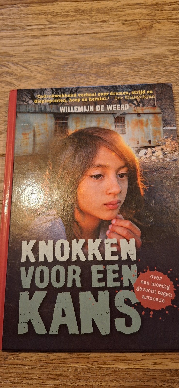 Willemijn de Weerd - Knokken voor een kans, Ophalen of Verzenden, Zo goed als nieuw, Willemijn de Weerd