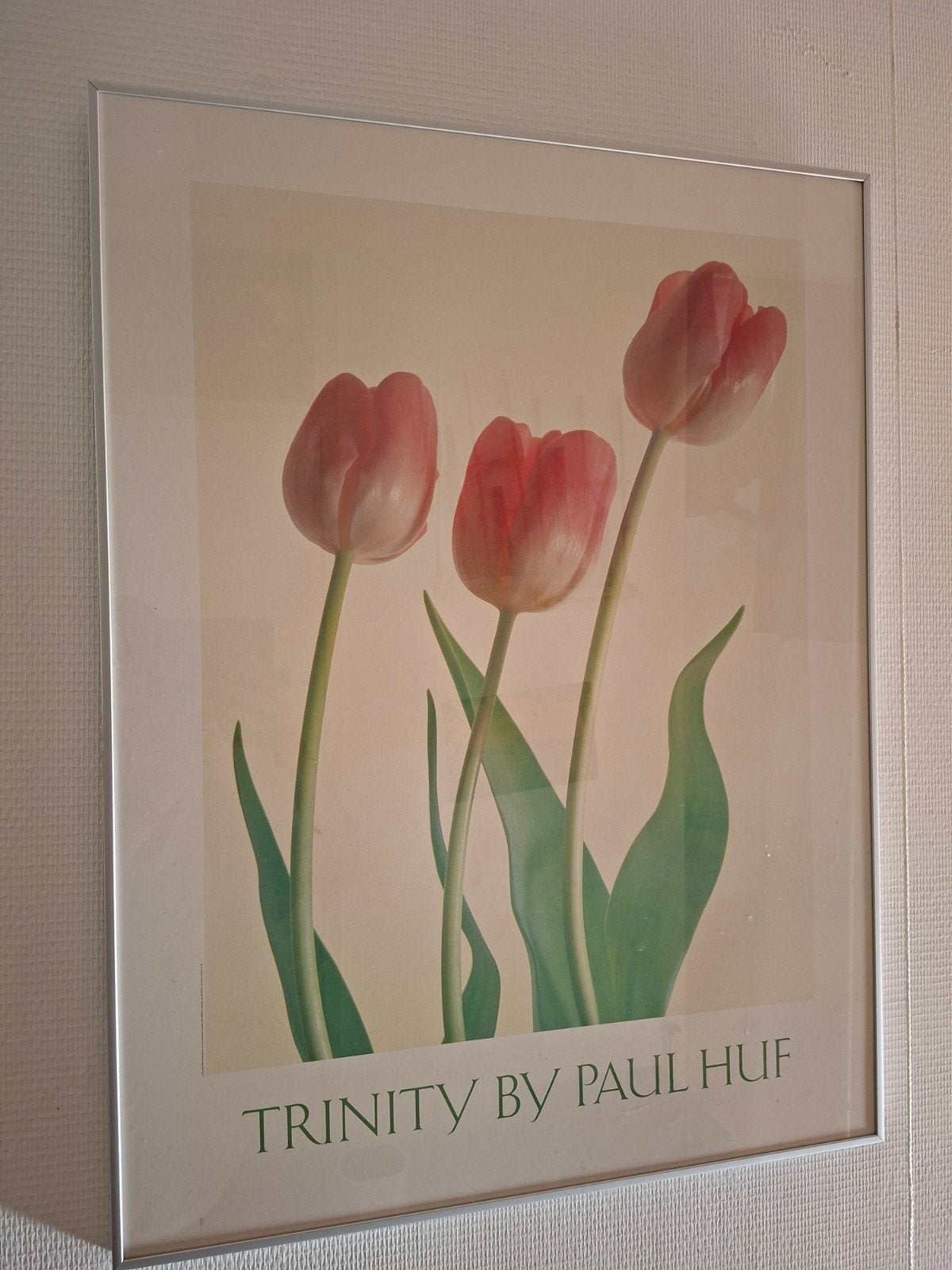 Trinity by Paul Huf - Ingelijste print van tulpen 80x51 cm, Ophalen, Oorspronkelijke maker, 75 – 100, 50 tot 75 cm