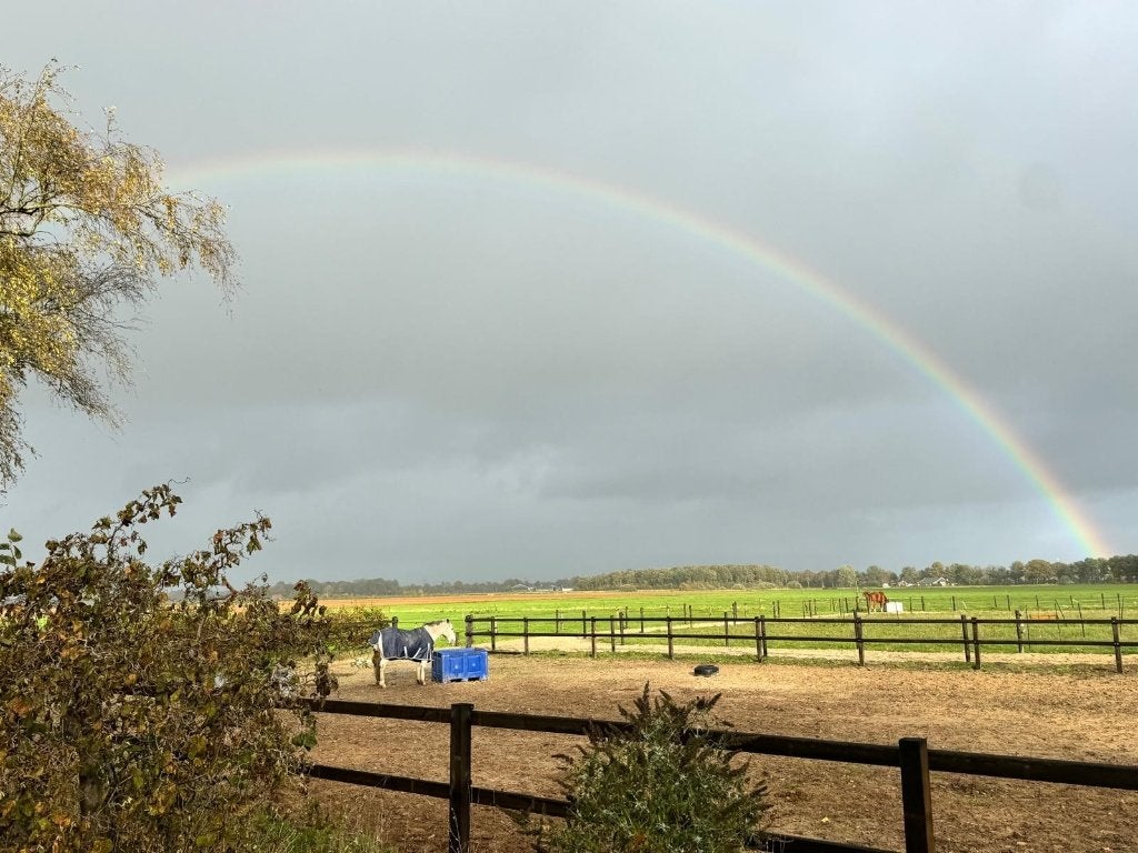 Pensionplek aan huis aangeboden, Stalling, 1 paard of pony
