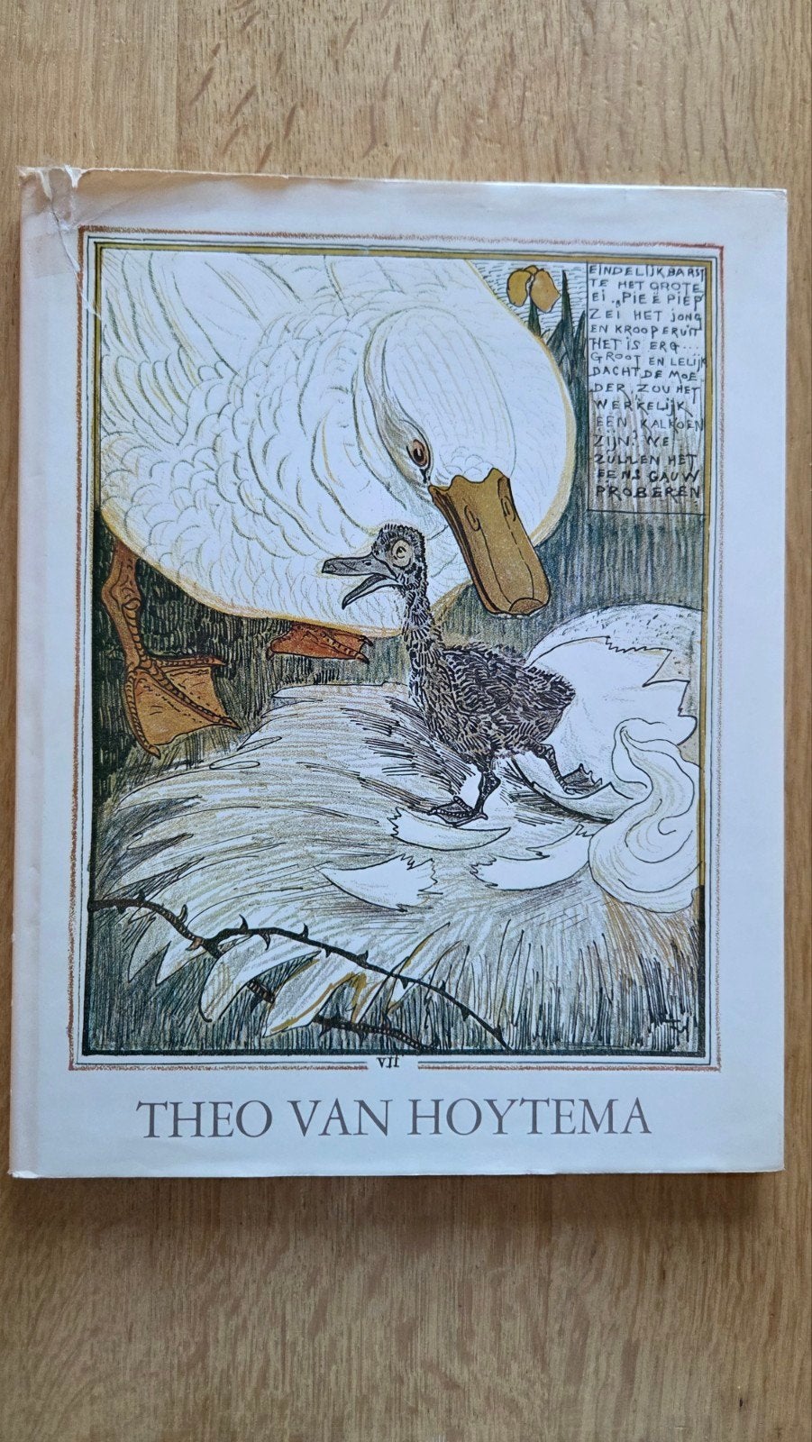 Het lelijke jonge eendje - Theo van Hoytema, Ophalen of Verzenden, Gelezen, Theo van Hoytema, Sprookjes
