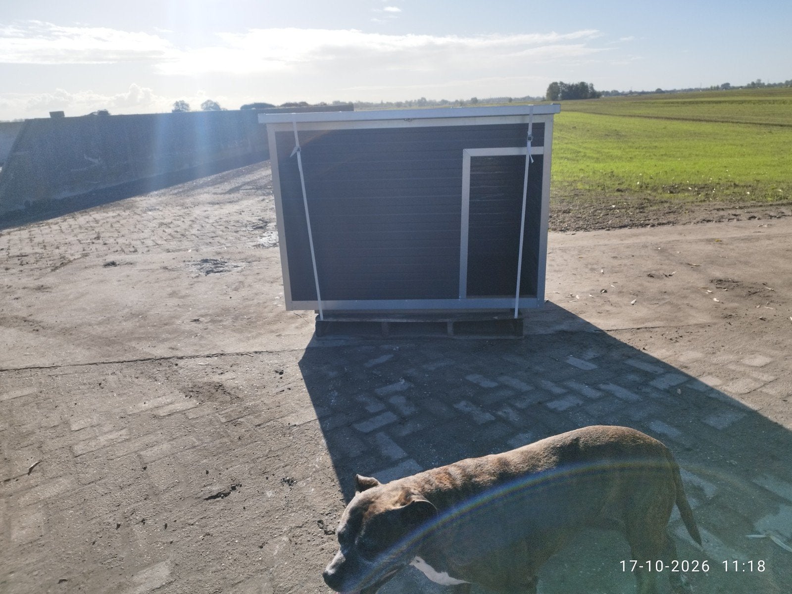 Geïsoleerd hondhok, 110 cm of meer, 100 cm of meer, Ophalen of Verzenden, Nieuw