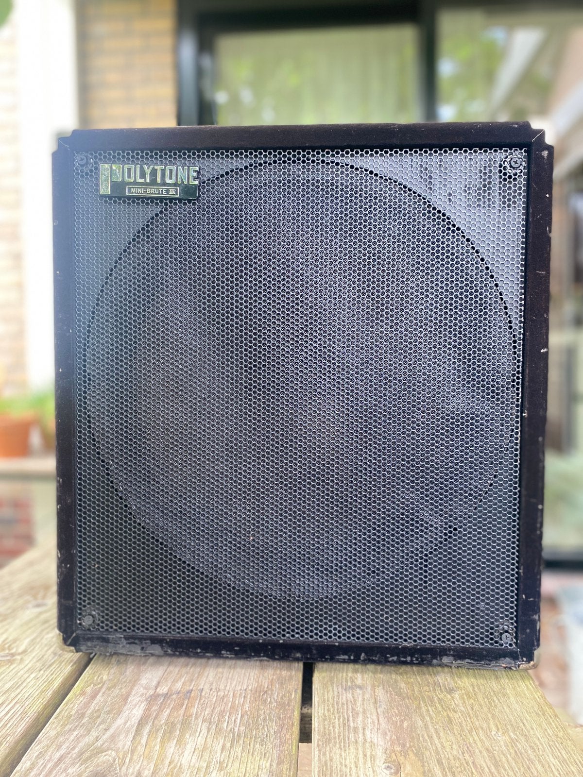 Polytone Mini-Brute III basversterker, vooral voor contrabas, Ophalen, Gebruikt