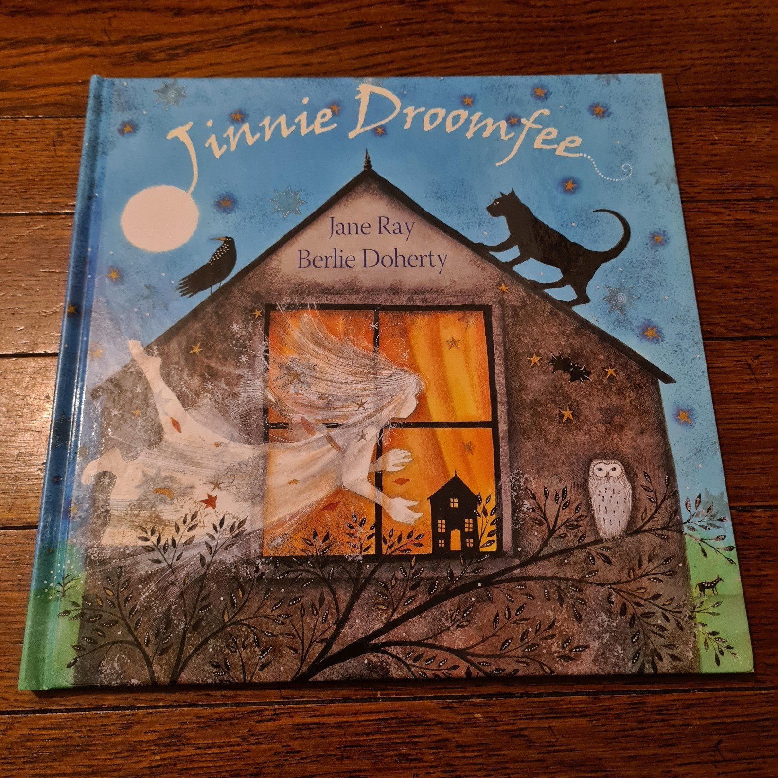 J. Ray - Jinny Droomfee, Ophalen of Verzenden, Zo goed als nieuw, J. Ray; B. Doherty