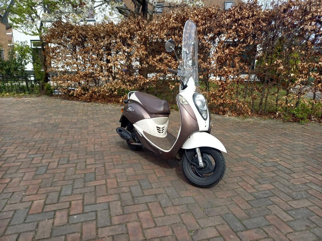 Sym Mio snor met windscherm, Ophalen, Gebruikt, Vlijtseweg 17-2, 7317AC. APELDOORN, 49 cc