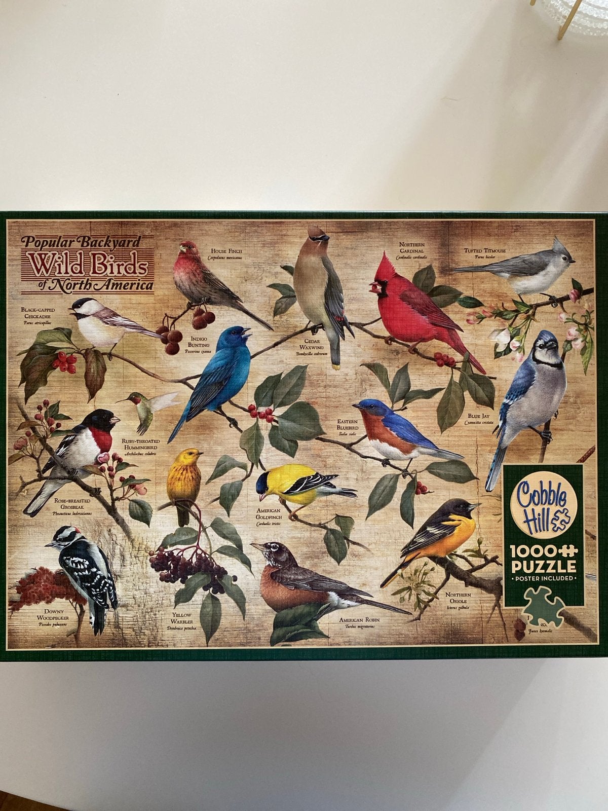 Cobble Hill Legpuzzel: Populaire Tuinvogels Noord-Amerika, Ophalen of Verzenden, 500 t/m 1500 stukjes, Zo goed als nieuw, Legpuzzel