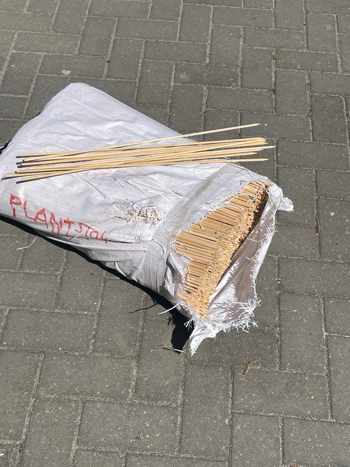 Plantenstokken 60 cm - 3 zakken (ca. 6000 stuks), Tuin en Terras, Ophalen of Verzenden, Eenjarig, Groenteplanten, Volle zon