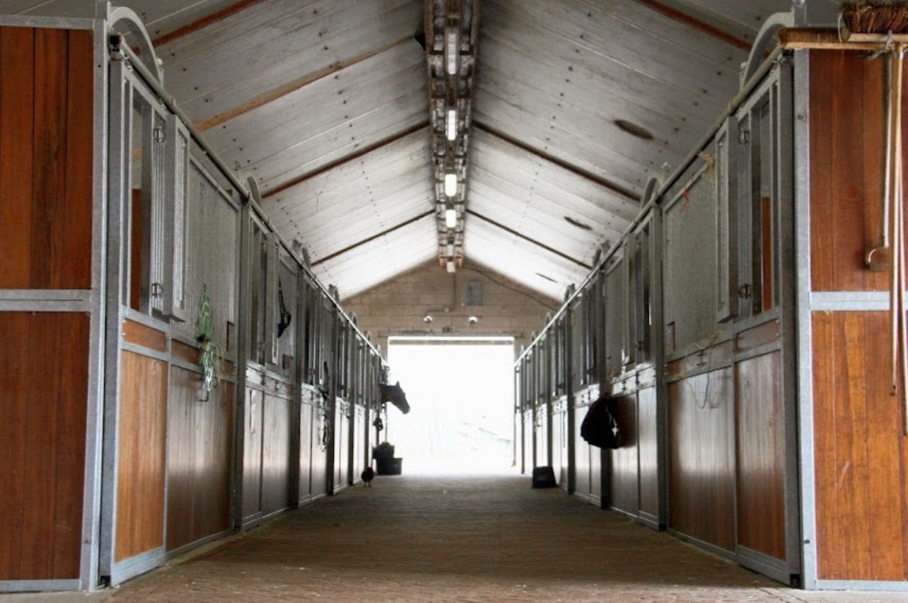 Stallen beschikbaar, Weidegang, 2 of 3 paarden of pony's