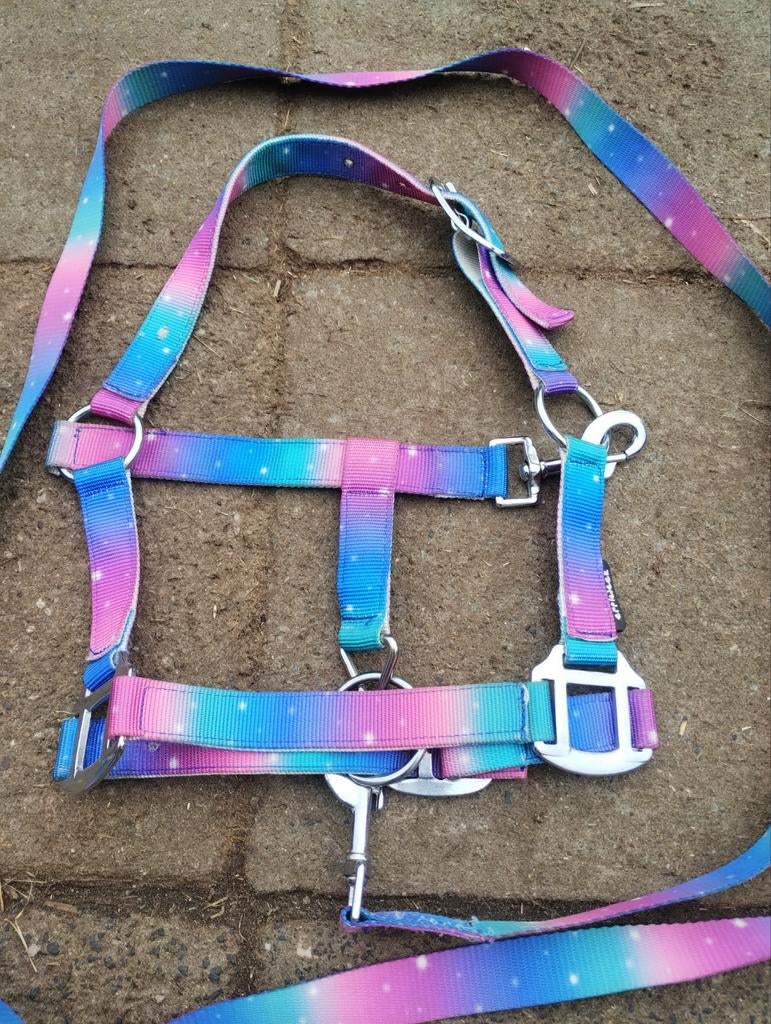 Mini shetlander halster+touw., Ophalen of Verzenden, Overige soorten
