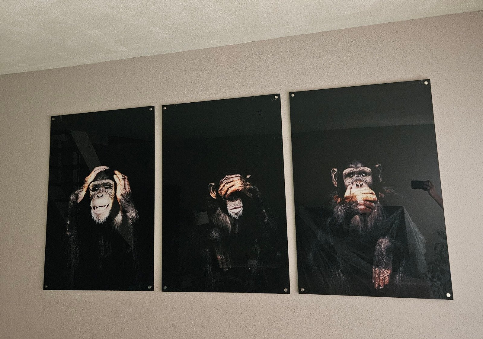 drieluik horen zien zwijgen op plexiglas, Ophalen