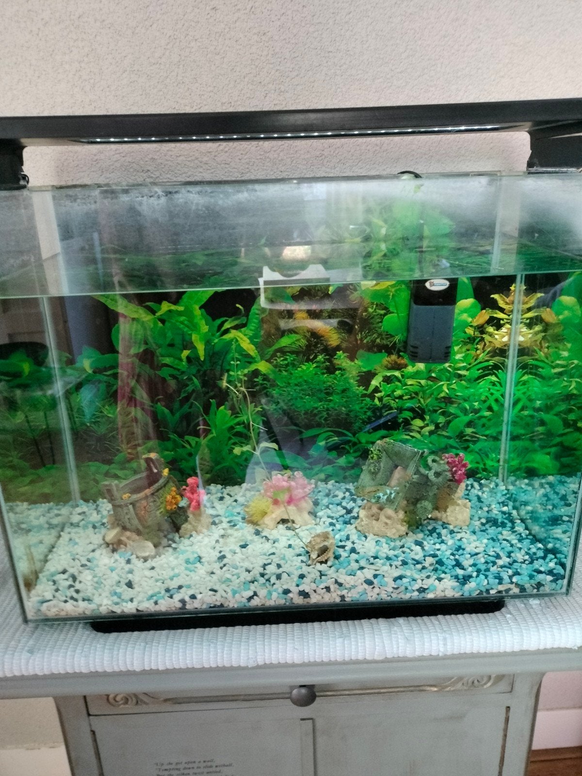 Aquarium 80 liter + accessoires, Ophalen, Leeg aquarium