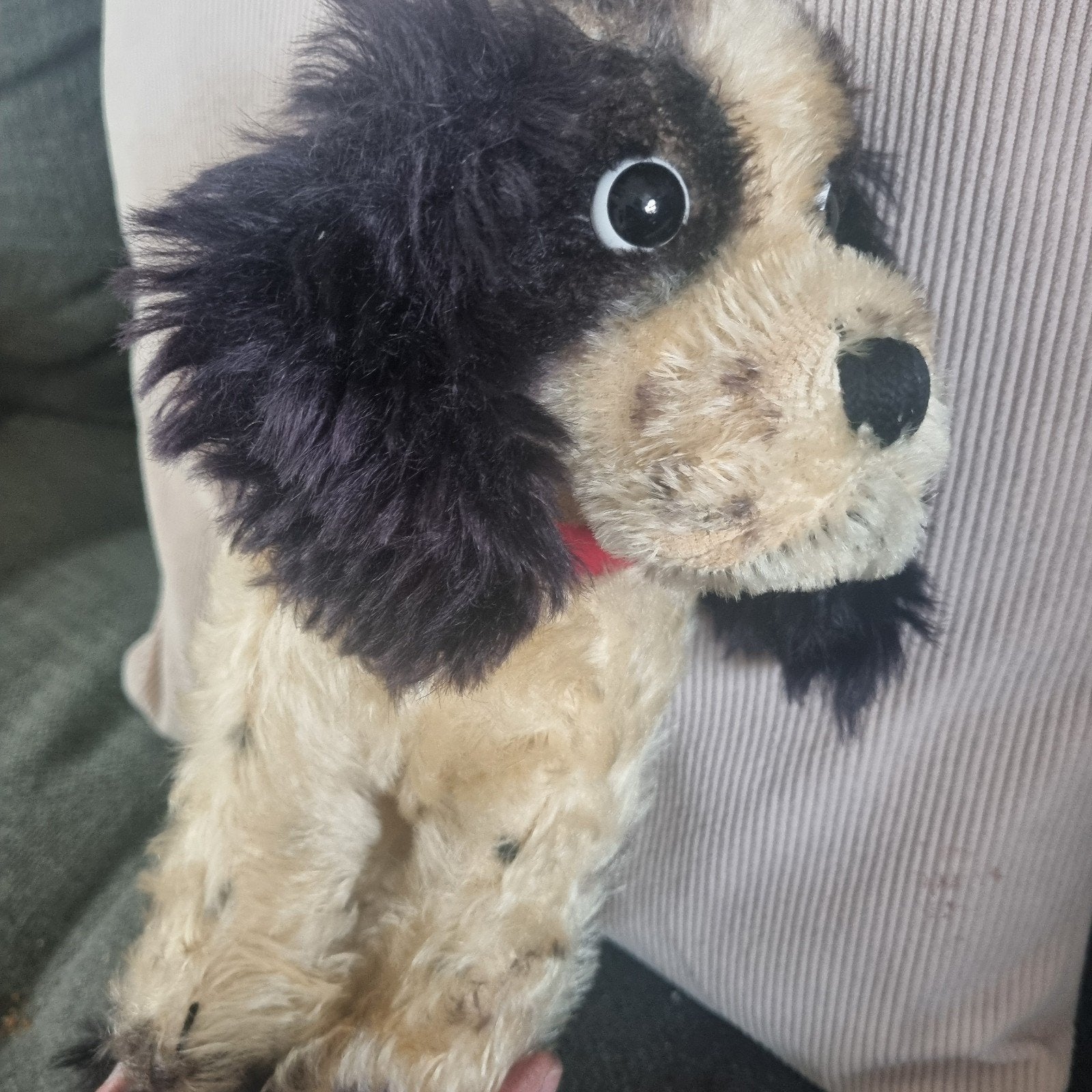 Vintage Steiff Cockie Cocker Spaniël Knuffel Jaren '50, Ophalen