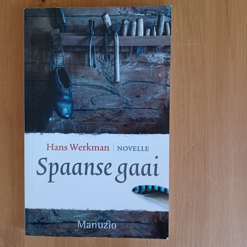 Spaanse gaai - novelle, Gelezen, Ophalen of Verzenden, Hans Werkman, Nederland