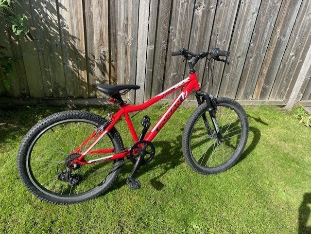Mountainbike 26 inch - Gebruikt, Gebruikt, Hardtail, Velgrem, Ophalen