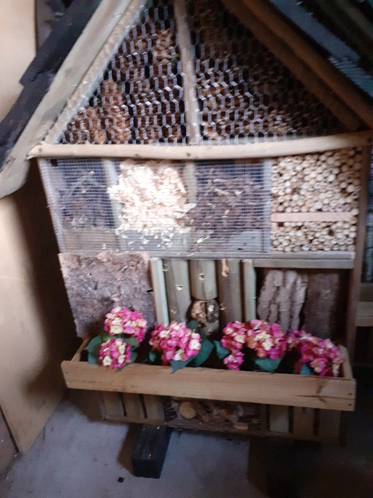 Insectenhotel, Ophalen, Nieuw