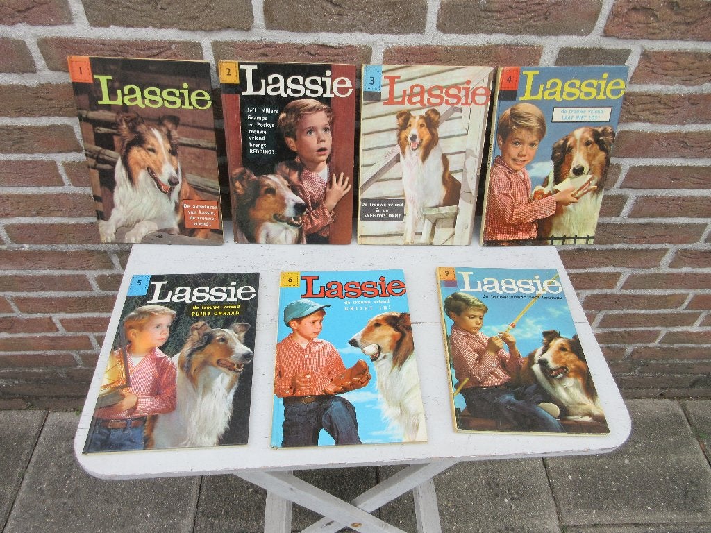 Vintage Lassie boeken, Ophalen of Verzenden, Gelezen
