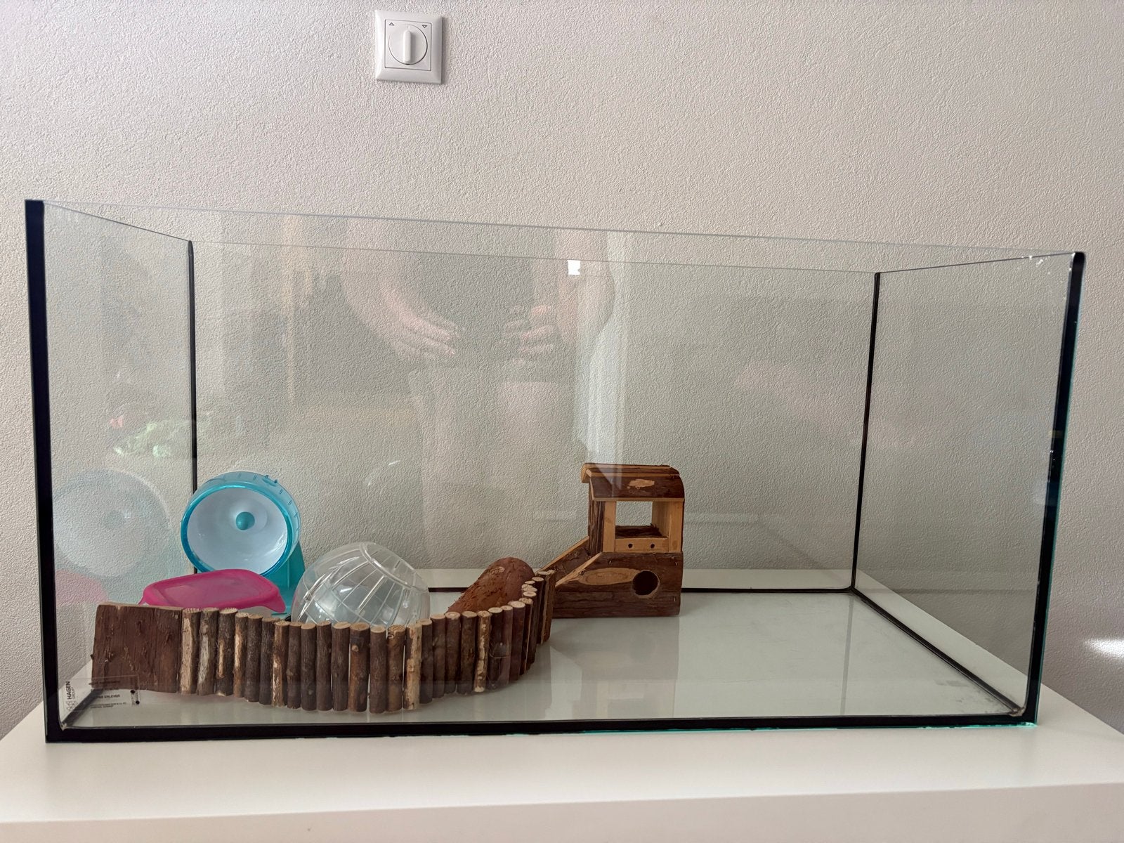 Terrarium, glazen verblijf voor knaagdieren 80x35x40cm, Dieren en Toebehoren, Ophalen, Zo goed als nieuw