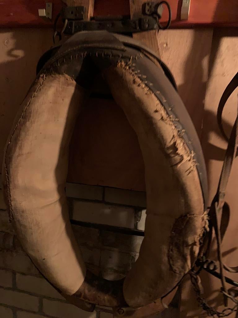 Haam , paardenhoofdstel antiek, Ophalen, Gebruikt, Overige soorten