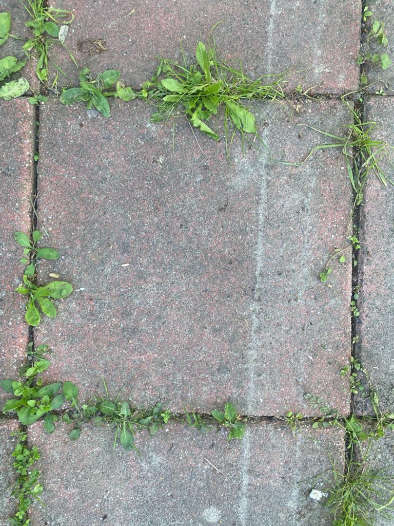 Tegels 23 stuks Gratis 50 x 50cm, Tuin en Terras, Ophalen, Gebruikt, Beton, Terrastegels