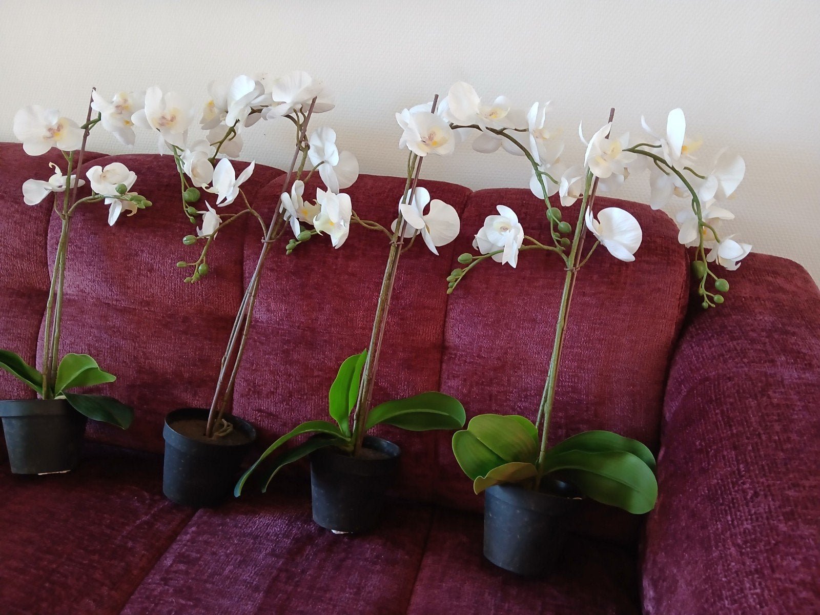 vier keer orchideeën  in pot, Binnen, Kunstbloem, 56 cm, Ophalen of Verzenden