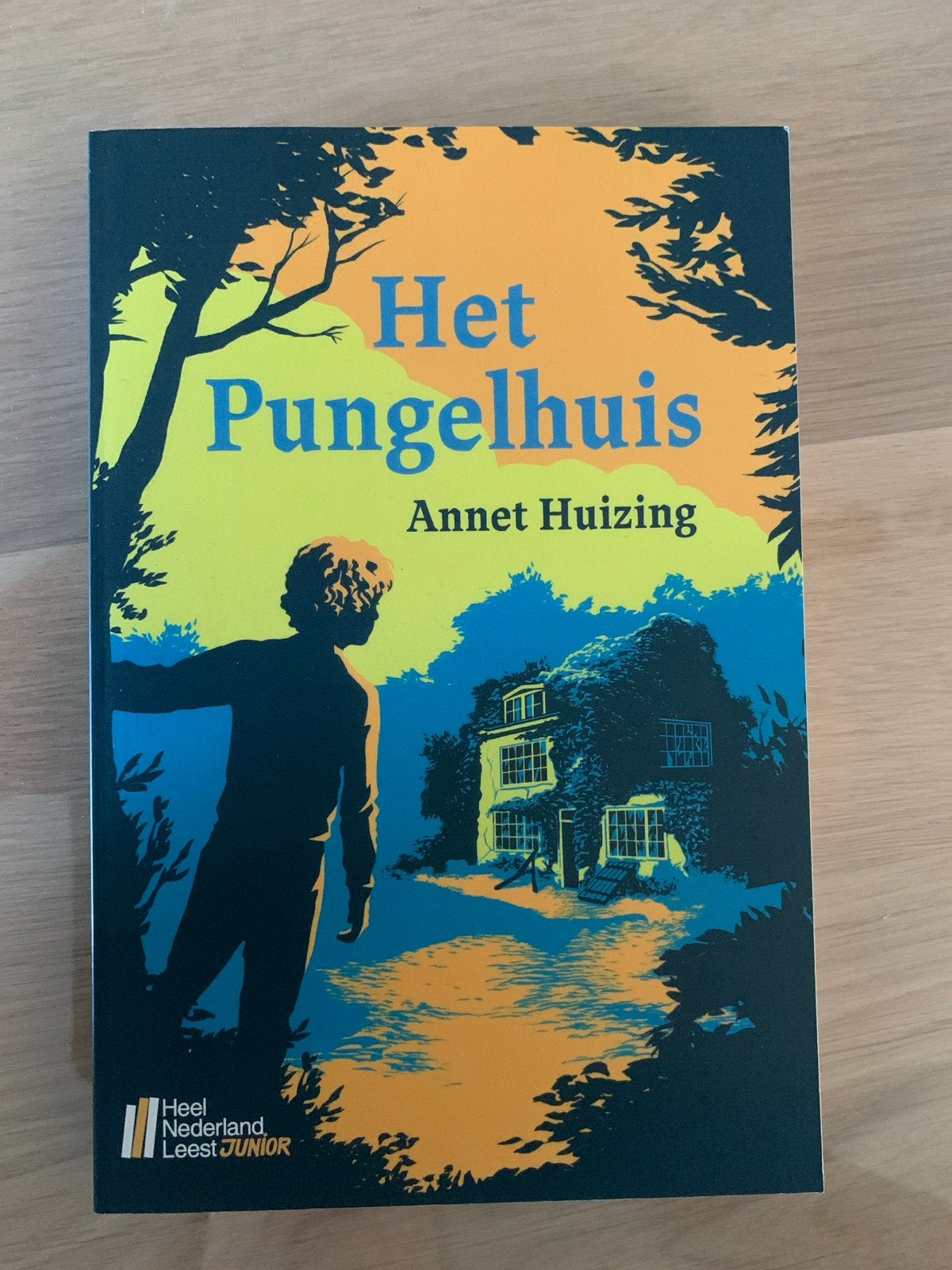 Het Pungelhuis - Annet Huizing (Zo goed als nieuw), Boeken, Ophalen of Verzenden, Zo goed als nieuw, Fictie