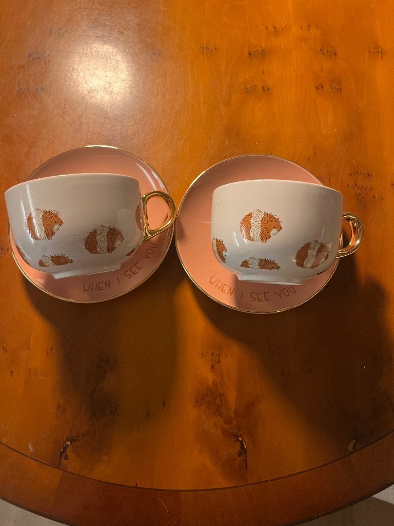 Servies met cavia, Huis en Inrichting, Ophalen, Hema, Zo goed als nieuw, Overige stijlen