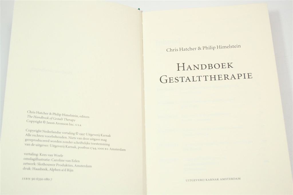 Handboek Gestalttherapie — Perls, Technieken & Sessies, Boeken, Ophalen of Verzenden, Gelezen, Overige onderwerpen, Achtergrond en Informatie