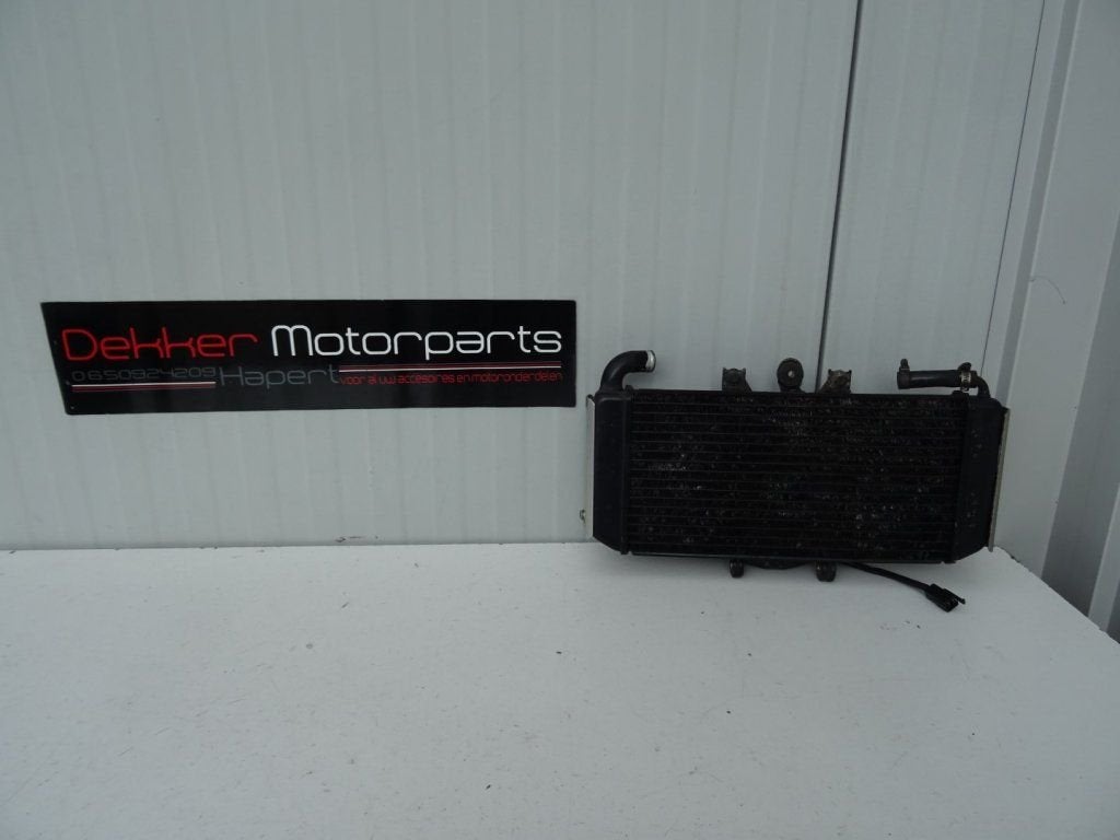 Radiateur / Radiator / Koeler Yamaha FZS600 / Fazer 600 1998, -, -, Nieuw, Ophalen of Verzenden